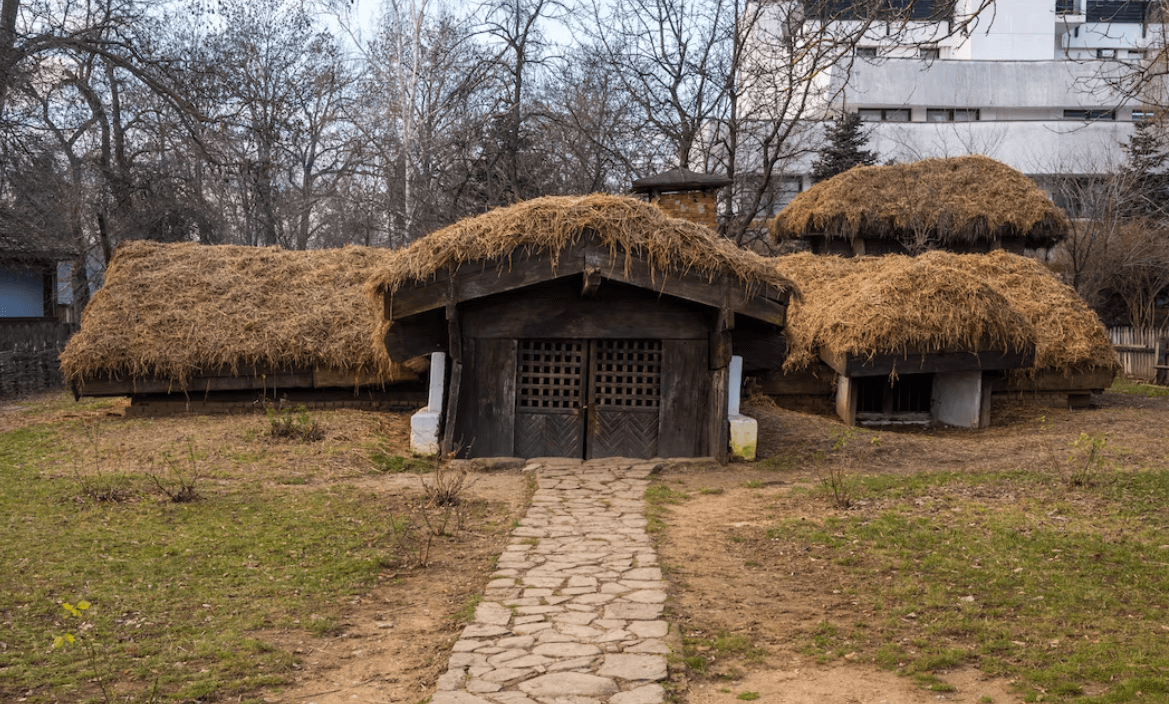 Image of a historic thatched roof