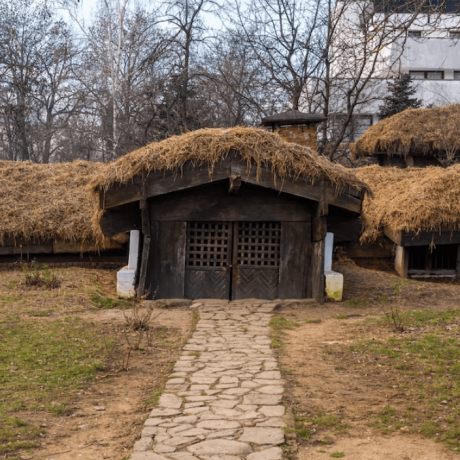 image of a historic thatched roof